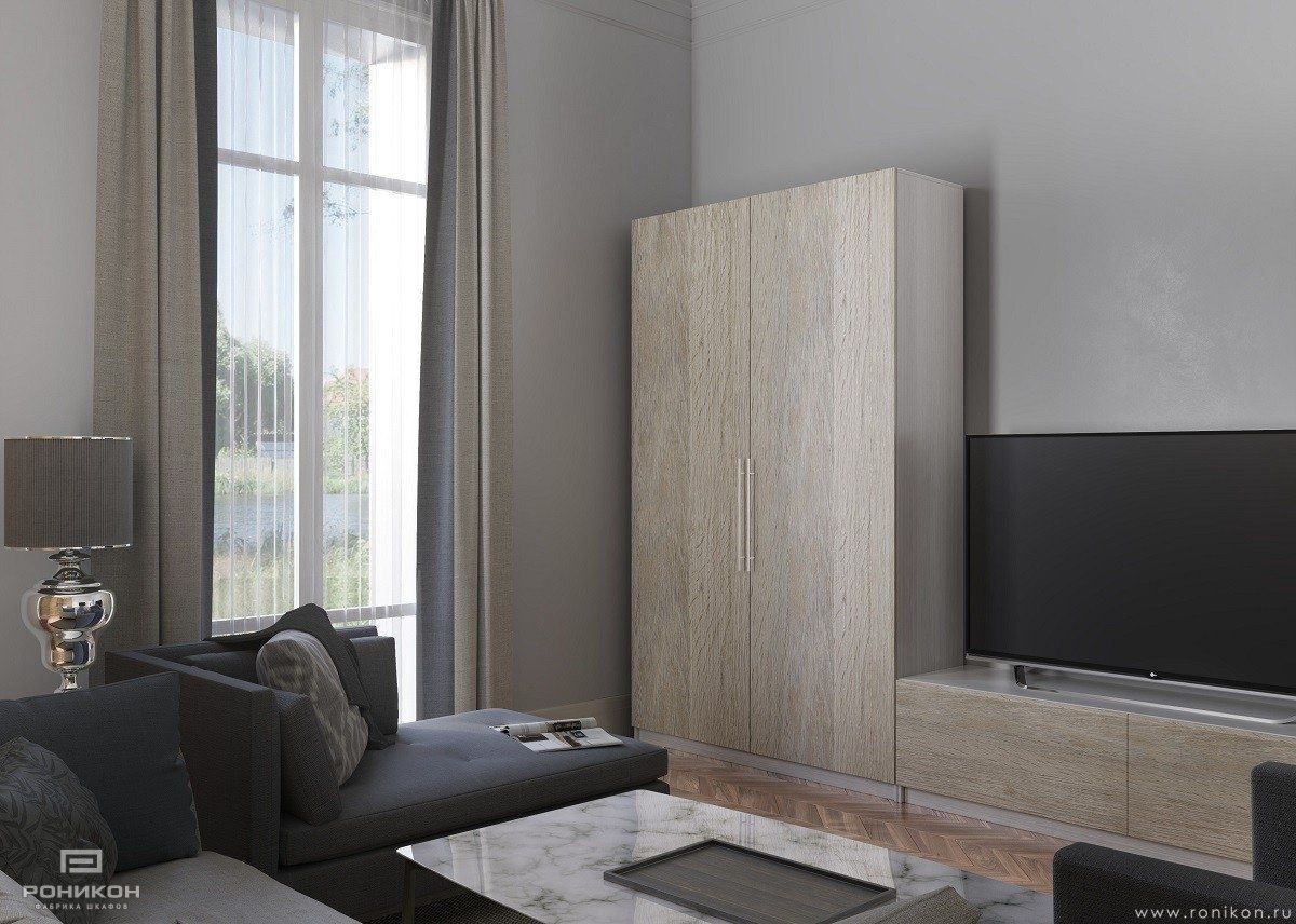 гостиная со шкафом лиственница горная антрацит арт 3425 (Корпусная мебель в гостиную) Вид 1