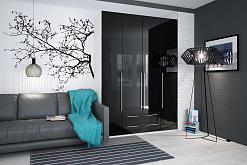 Распашной шкаф ЛДСП Чёрный арт 7761