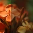 Прозрачный коричневый (С01)