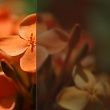 Матовый коричневый (С05)