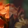 Прозрачный серый (С03)
